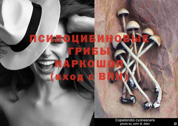 прущие грибы Алексин