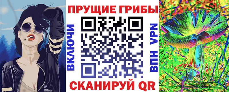 MEGA ссылка  Междуреченск  Псилоцибиновые грибы мицелий 
